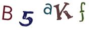 Bild-CAPTCHA