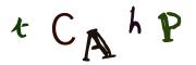 Bild-CAPTCHA